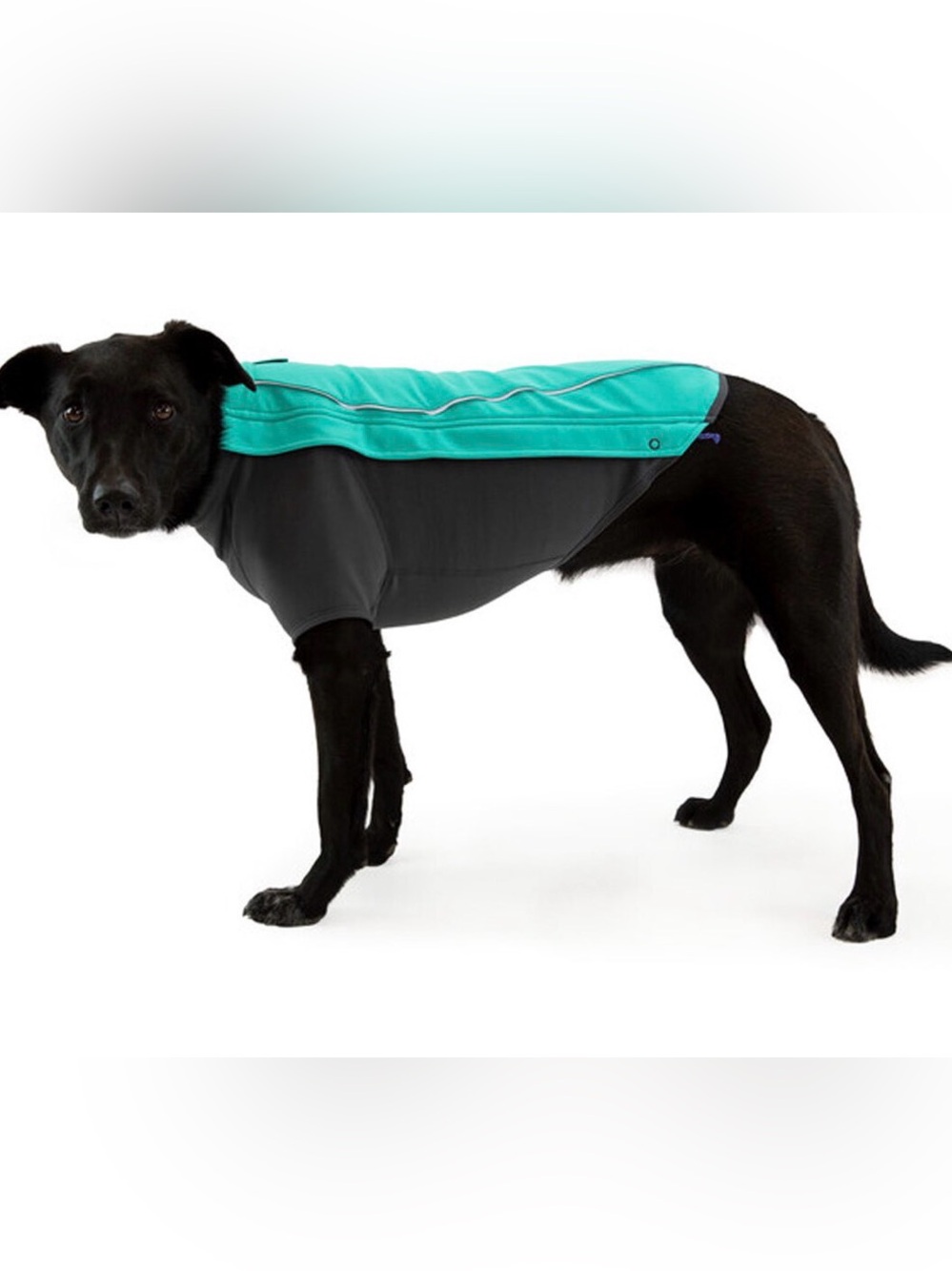 RuffWear Waterproof Dog Coat - Teal and Gray